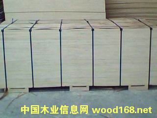 ����(y��ng)3-30������z�ϰ� ɳ�l(f��)�� ���b��