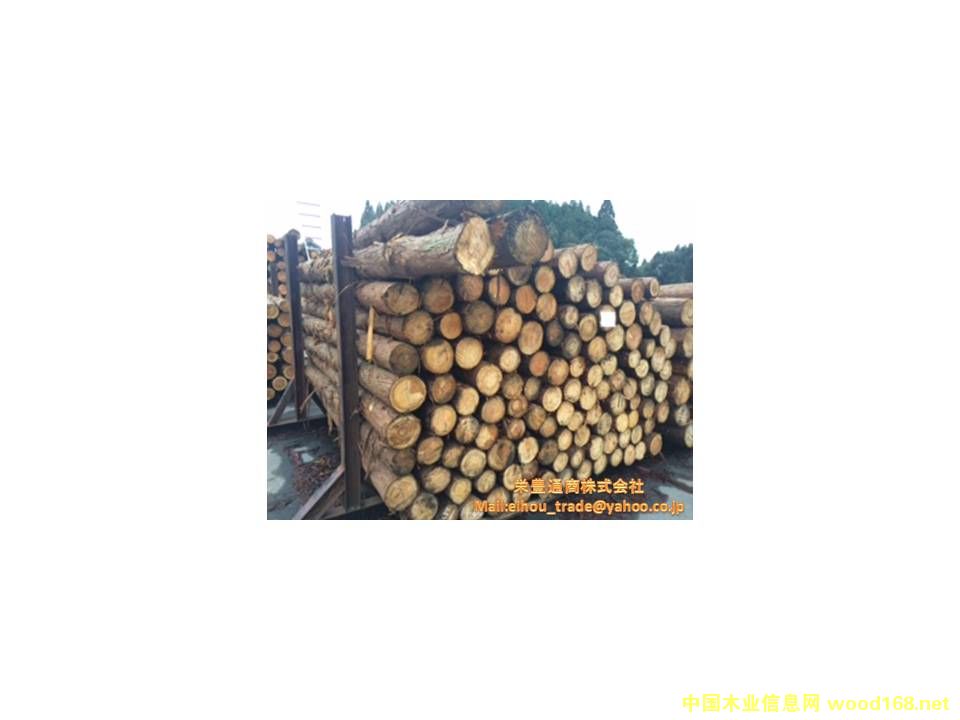 �ձ�ɼľԭľ(JAS)��Ԕ��(x��)��B