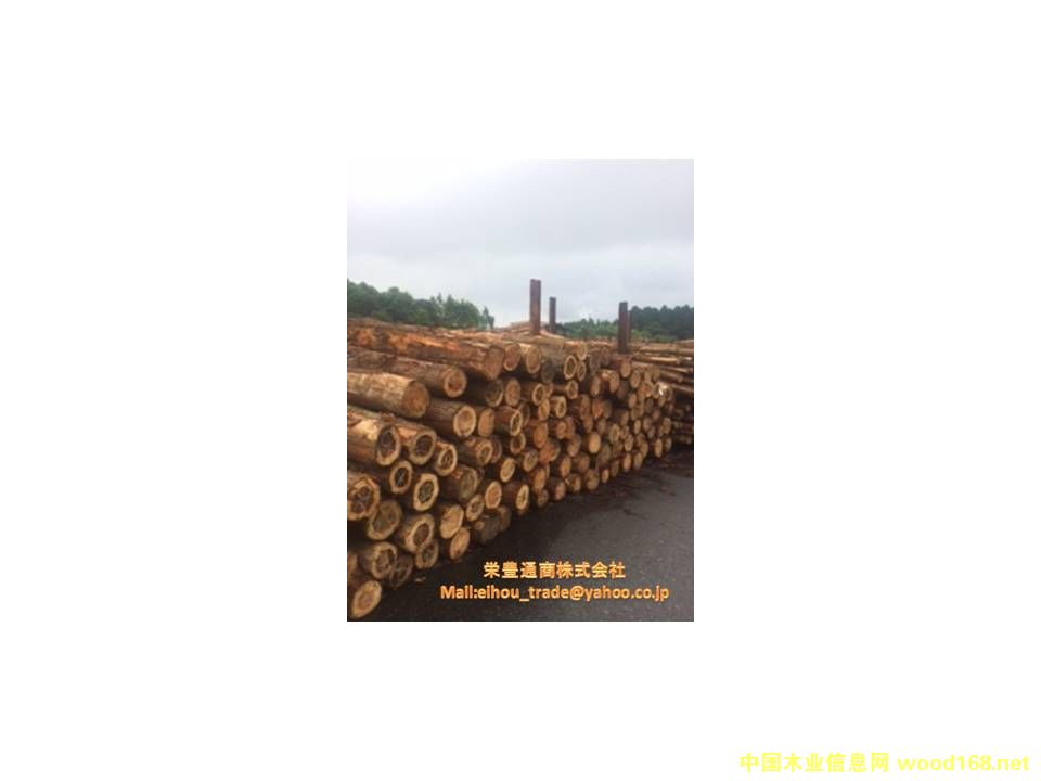 �ձ�ɼľԭľ(JAS)��Ԕ��(x��)��B