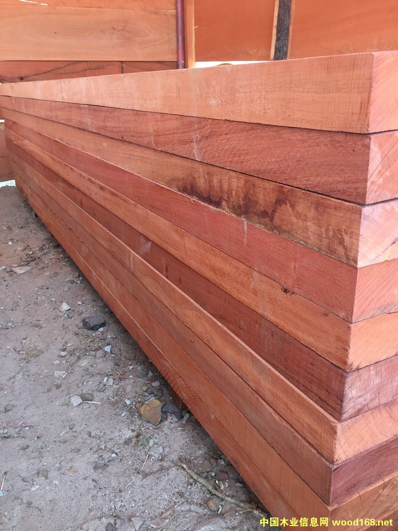 ZAMWINA �ͻ���ĵ�Ԕ��(x��)��B