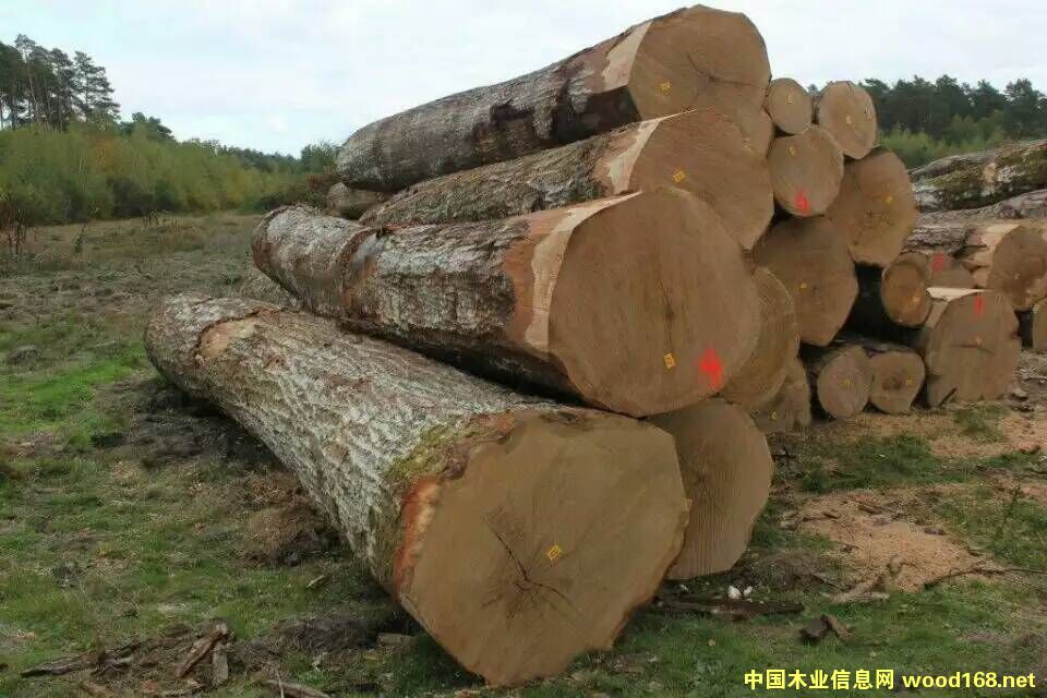 �W�޼t��ԭľ���̵�Ԕ��(x��)��B