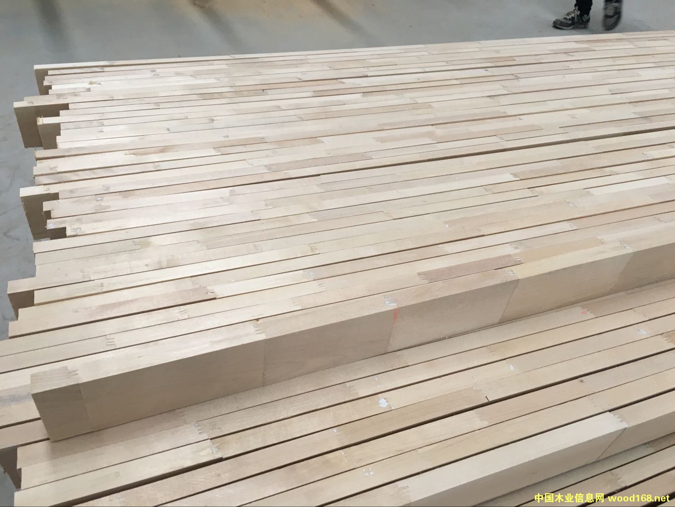 ��ľָ�ӗl��Ԕ��(x��)��B