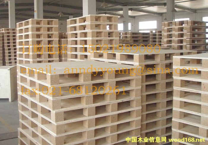 �Ϻ�������Ѭ���бP(p��n)