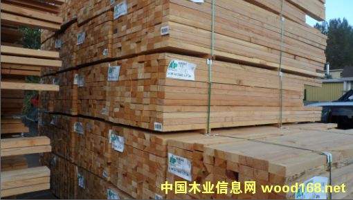 �Fɼ��Ԕ��(x��)��B