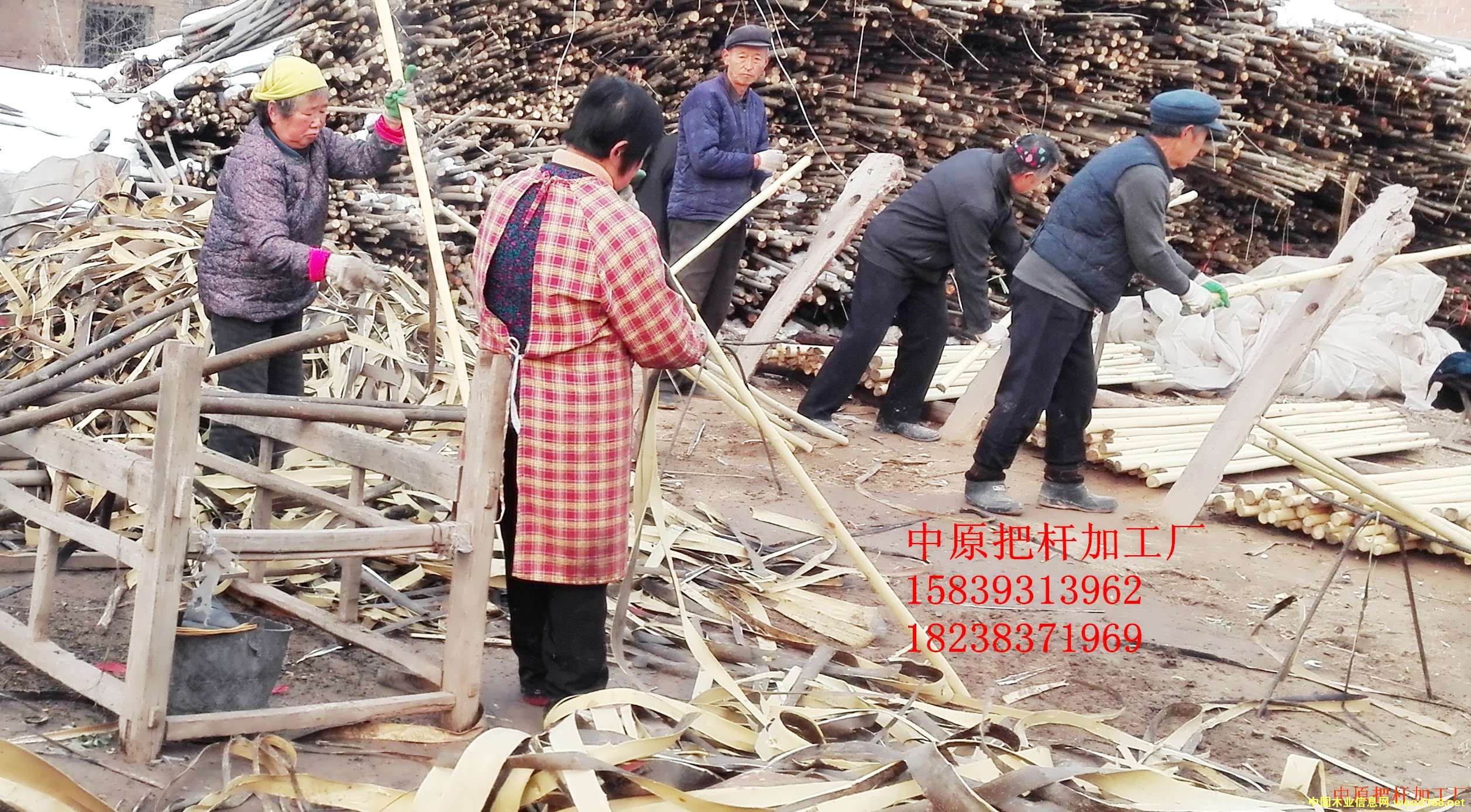 ���D�U, �ư�, �F�@��, �F���, ���, �N�ѵ�Ԕ����B