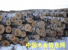 ���ۘ�ľԭľ��Ԕ��(x��)��B