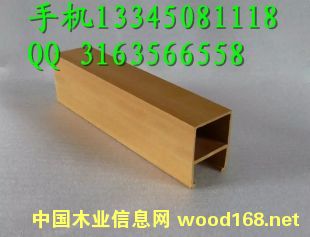 �P�\ ���� �Pɽ���B(t��i)ľ�S�҃r���Ԕ��(x��)��B