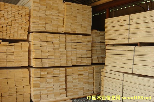 ��ľ�� ��Ԕ����B