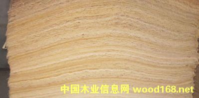 �sľľƤ��Ԕ��(x��)��B