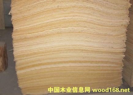 ��ľľƤ��Ԕ��(x��)��B