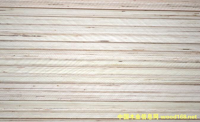 ��ģ���Ԕ����B