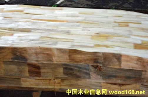 ����ľָ��ľƤ��Ԕ����B