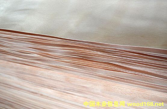 ɽ��ľƤ��Ԕ����B