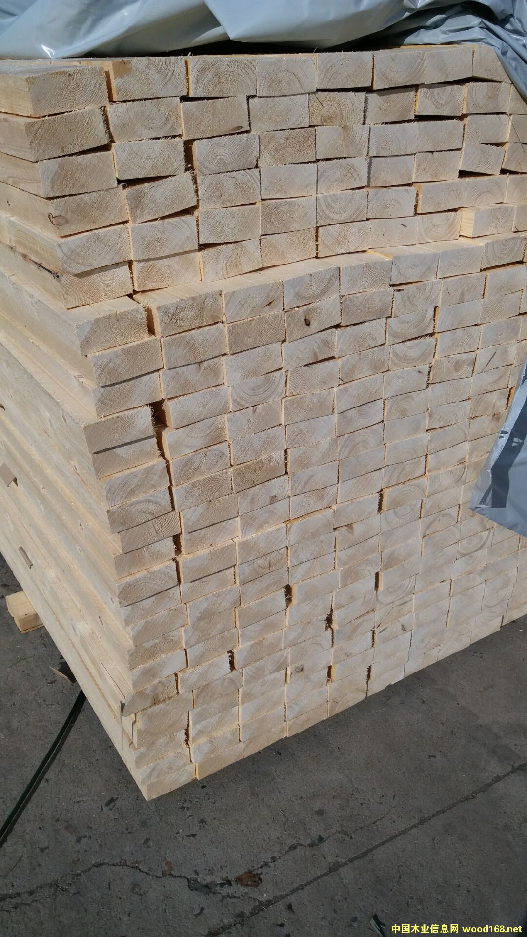 ��ɼ��Ԕ����B