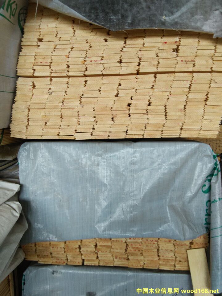 [��] ��ľ��¹�󱳰�����ϰ��