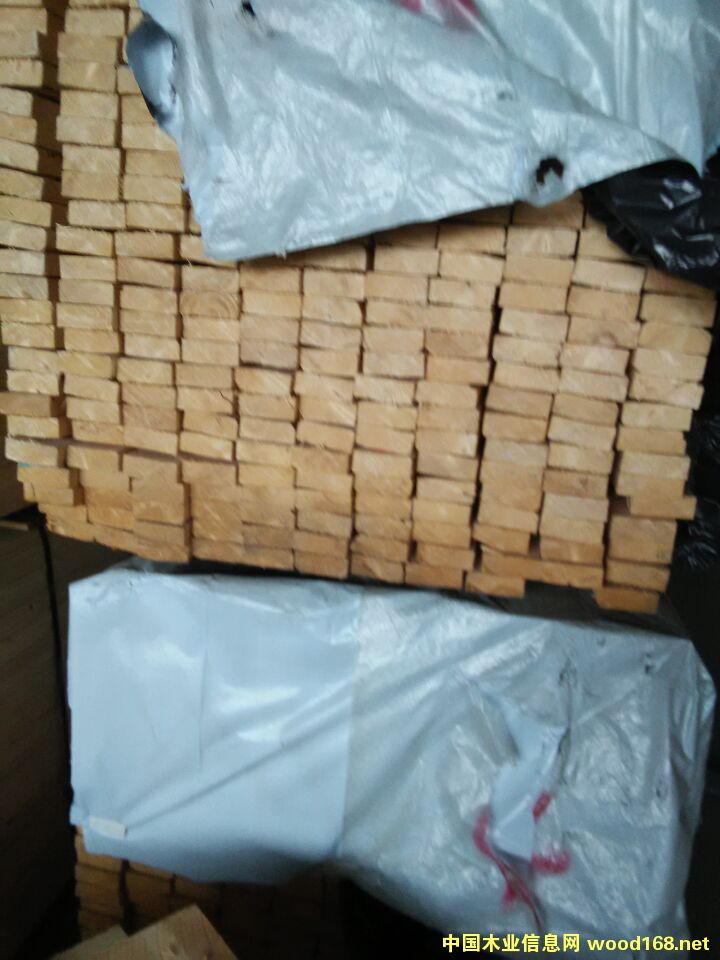 ��ɼ�������ɼҾ߲�