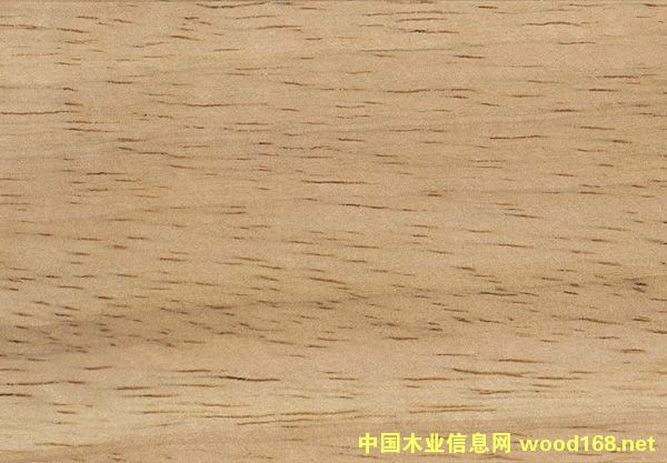 ̩�����zľ��Ԕ��(x��)��B