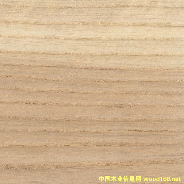 ��Ϟ��Ԕ��(x��)��B