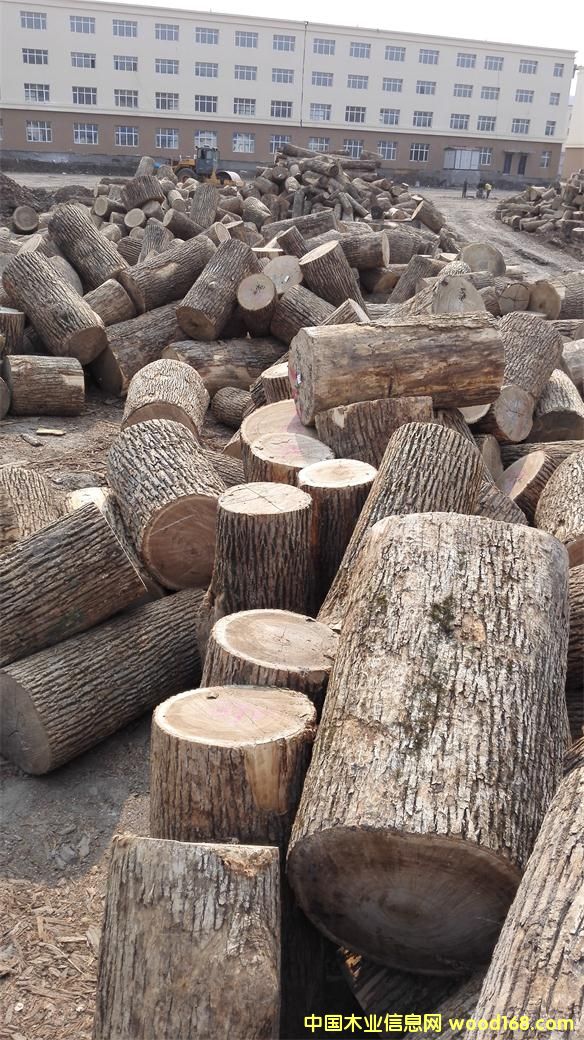 [��] ˮ�������ж̲�����������������