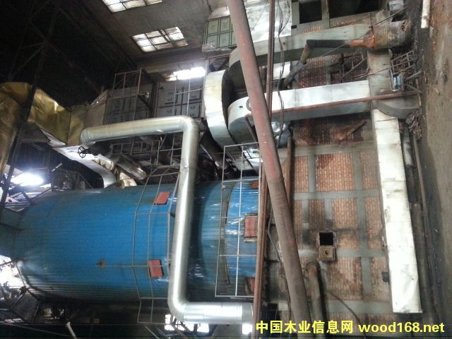 �͠t��Ԕ��(x��)��B