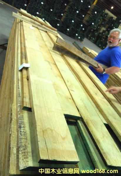 紅橡木的詳細(xì)介紹