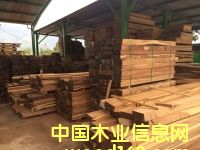 黃檀的詳細(xì)介紹