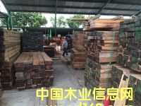 黃檀的詳細(xì)介紹