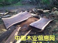 黃檀的詳細(xì)介紹