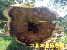 黃檀的詳細(xì)介紹