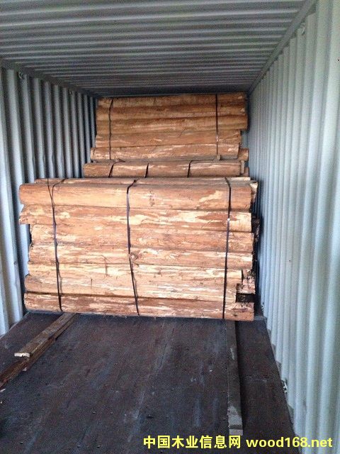 �M(j��n)����ľ 