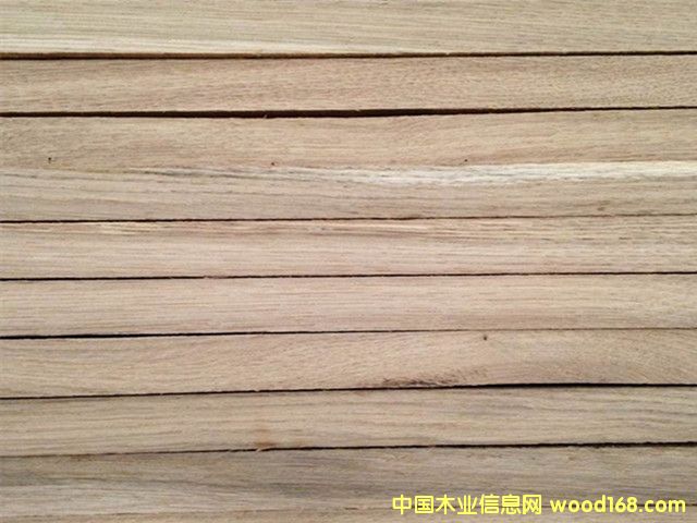 ����ľ��� �W���M����һ����ľ��