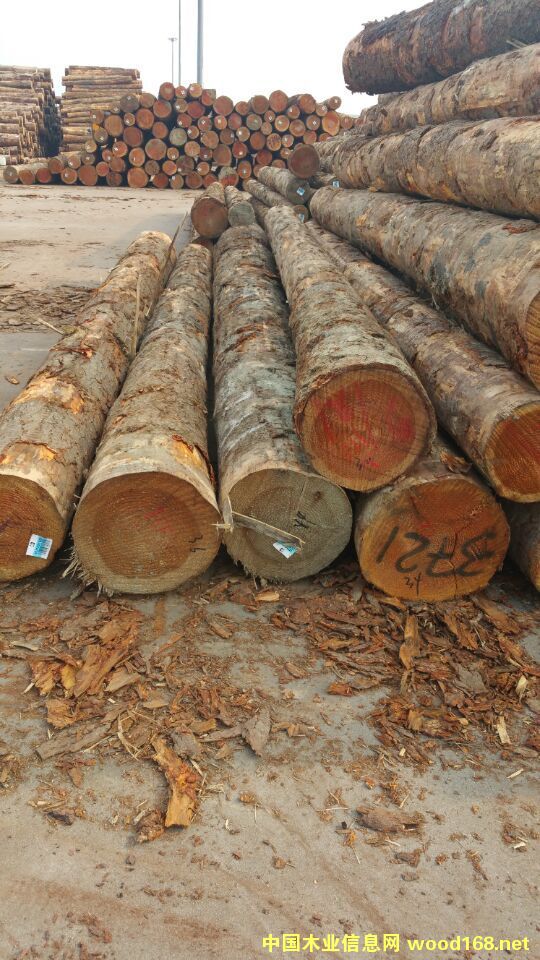 �����m������