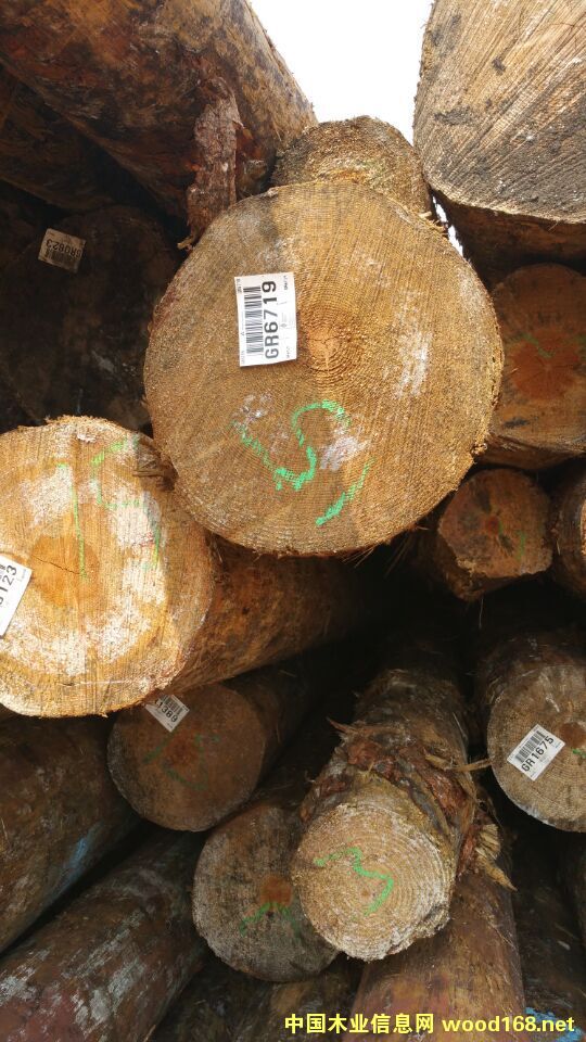 ����(gu��)�S��