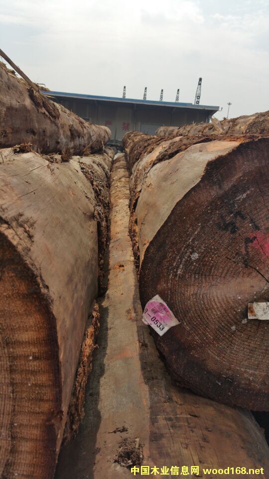 ���ô���