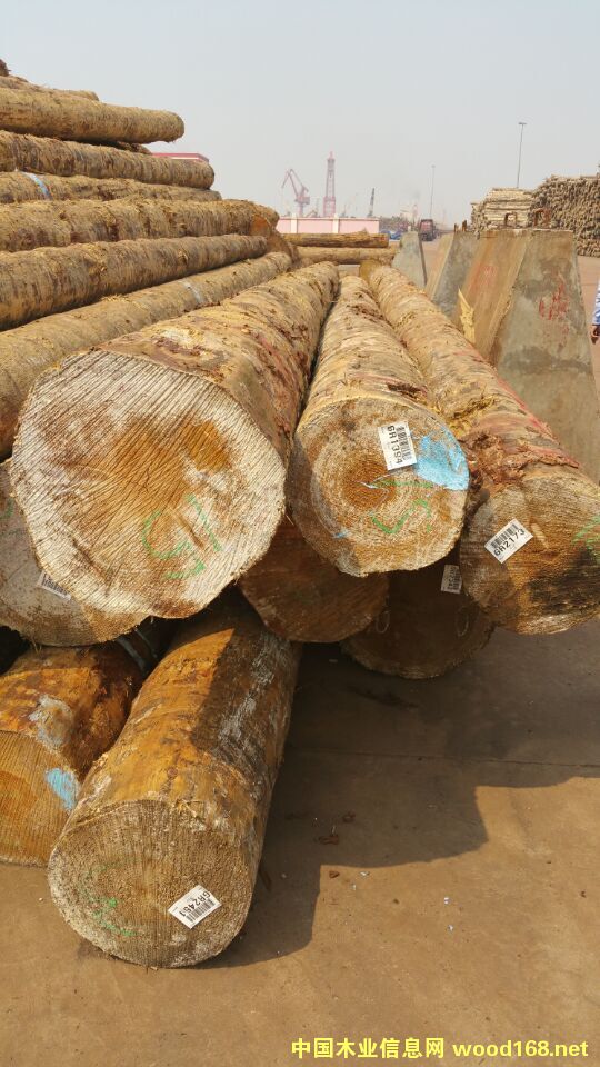 ����(gu��)�S��