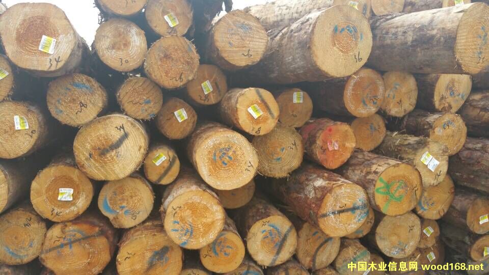 �����mݗ����ԭľ