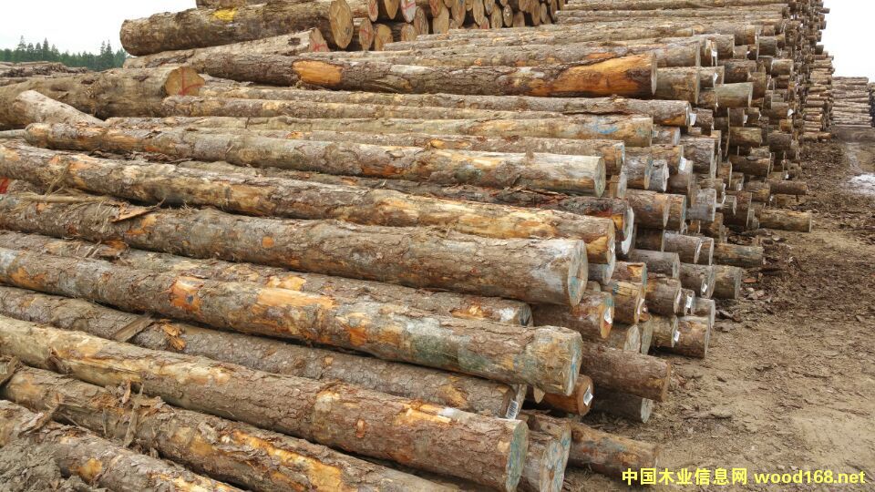 ����4�׼���