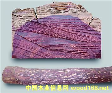 �������_�m��֦ �l�y׃�ßo�����y��������