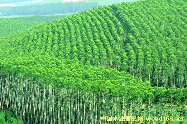 �����Y��Ͷ�Y��˾����(j��ng)�펧�(du��)����|�T�ֈ�(ch��ng)