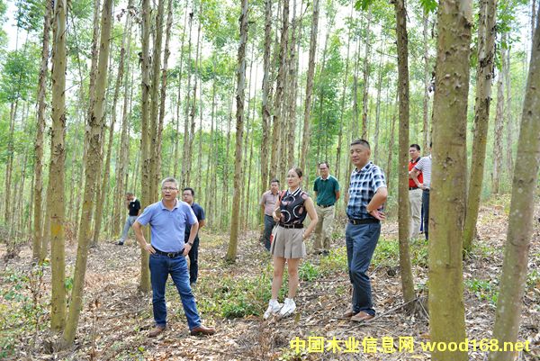 �V����ʢľ�I(y��)�͑�������˼�h���ٻ���ԭ����