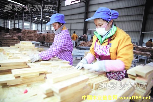 �F�݄��ӈ@���֘I(y��):�����Ј��I(l��ng)��Ʒ��