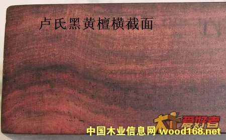 �R�Ϻ��S̴ľ�ļy��