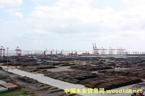 ̫�}�z�ߴ���gƽ�_ ��������ľ���YԴ�L�L��