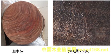 �V���Ĵ����FӲľ:��z����͘ľ����ľ���F��ľ