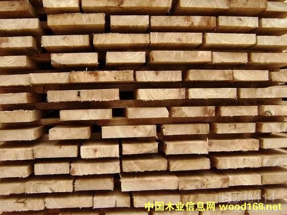 ľ��Ȧ�����zľ؛Դƫ�o���r��(w��n)��΢��