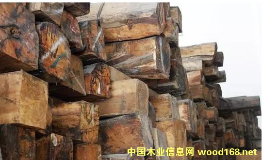 �tľ�Ј���ӭ��һƬů�� �еͶ˼tľ�Ј����g�V�