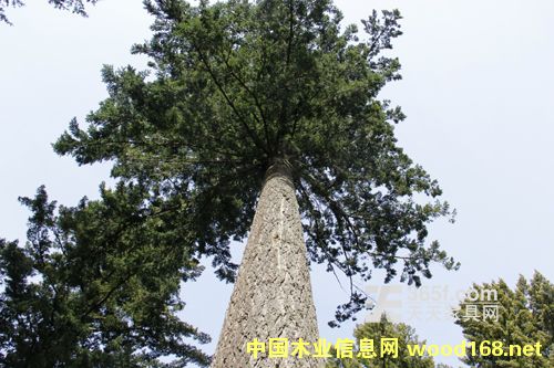 ������~��䏲Įa(ch��n)��С�����L1.7%