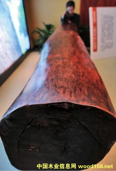 ���Fľ�Ľ����S̴�������S����