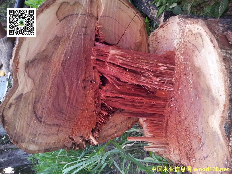 ��t��֦20���(n��i)�ѝq�ٱ���10���߀���ϝq30����