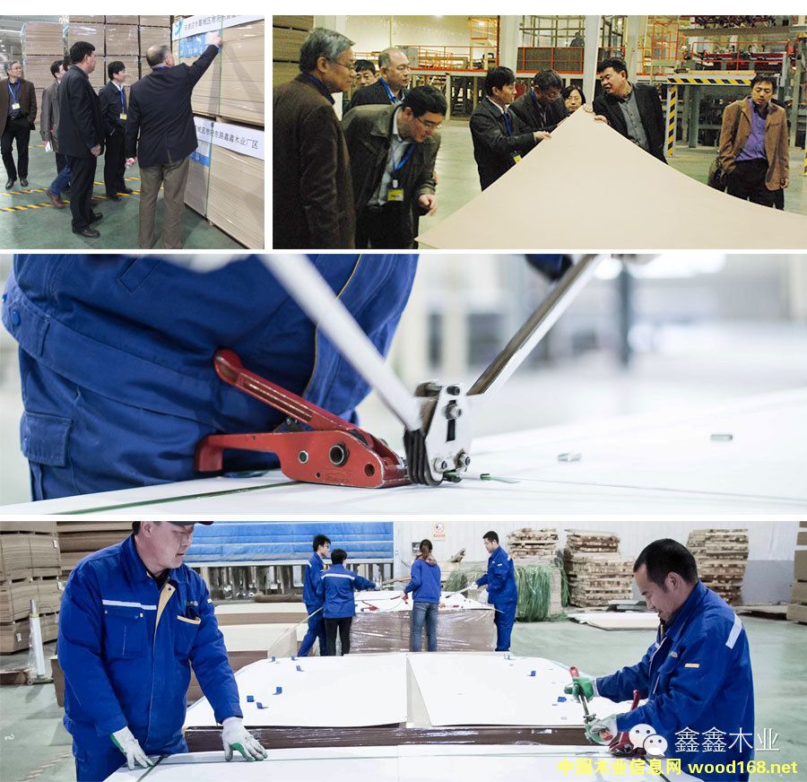 �ӱ�����ľ�I(y��)����ʿʷ������Steinemannɰ��C